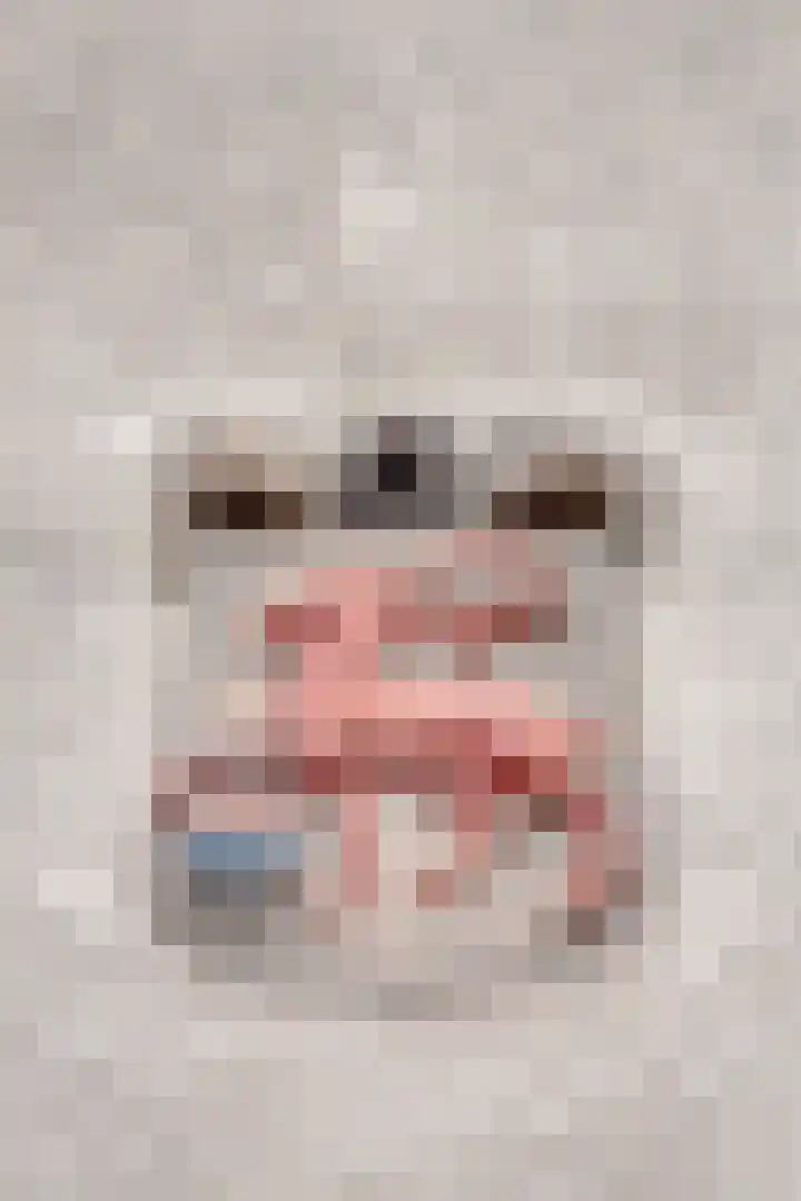 Kerkstraat 16 Bruinisse thumbnail 6
