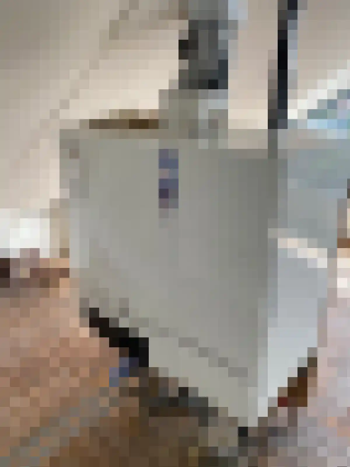 Kerkstraat 16 Hank thumbnail 17