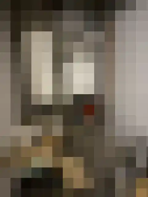Kerkstraat 16 Hank thumbnail 18