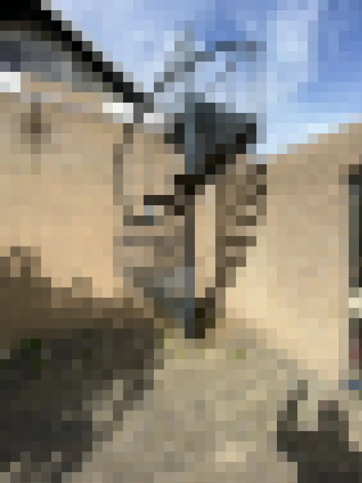 Kerkstraat 16 Hank thumbnail 21
