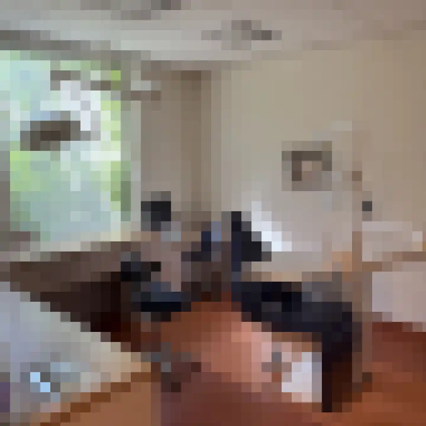 Kerkstraat 16 Hank thumbnail 9