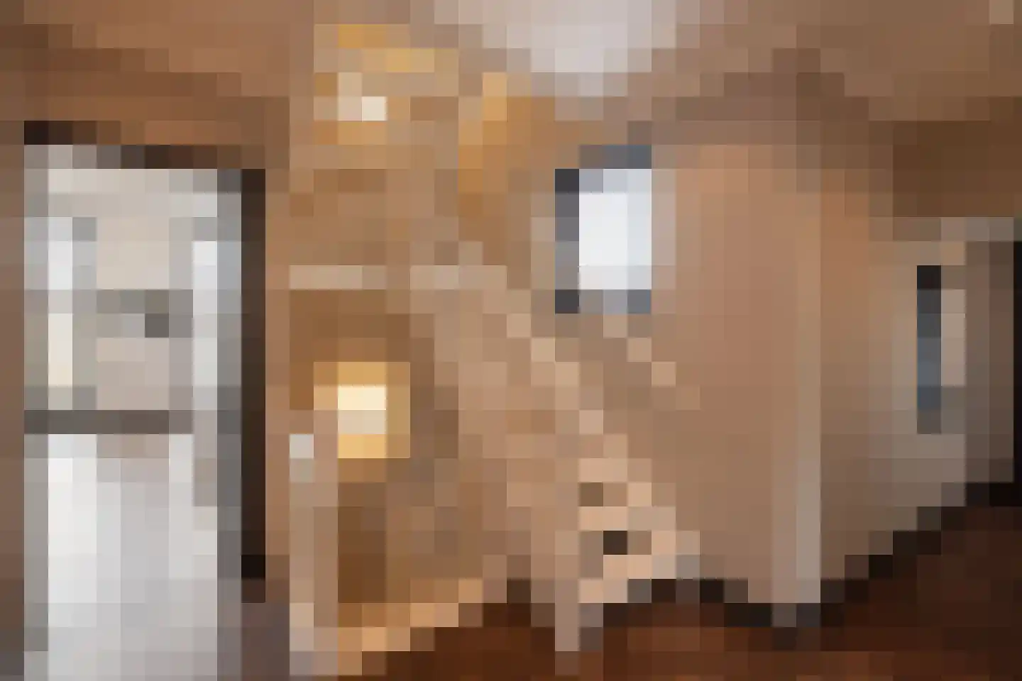 Kerkstraat 16 Harderwijk thumbnail 22