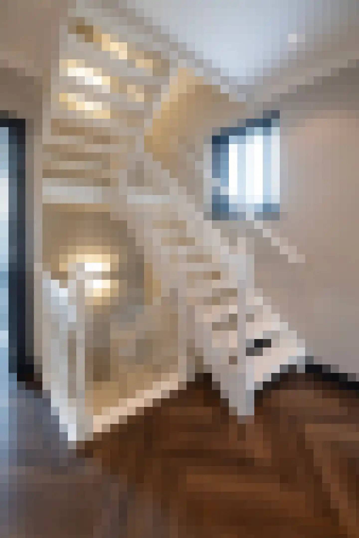 Kerkstraat 16 Harderwijk thumbnail 32