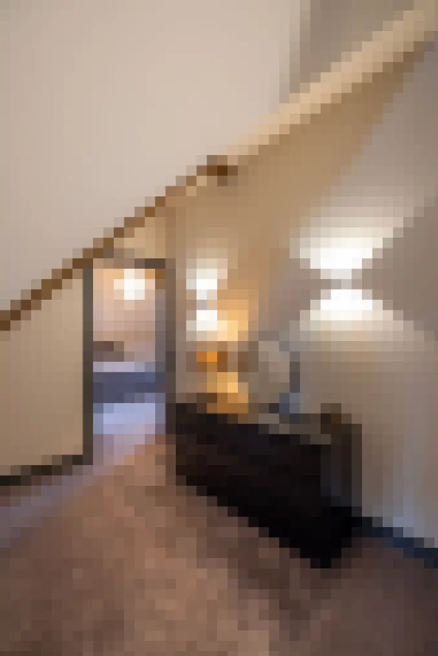 Kerkstraat 16 Harderwijk thumbnail 34
