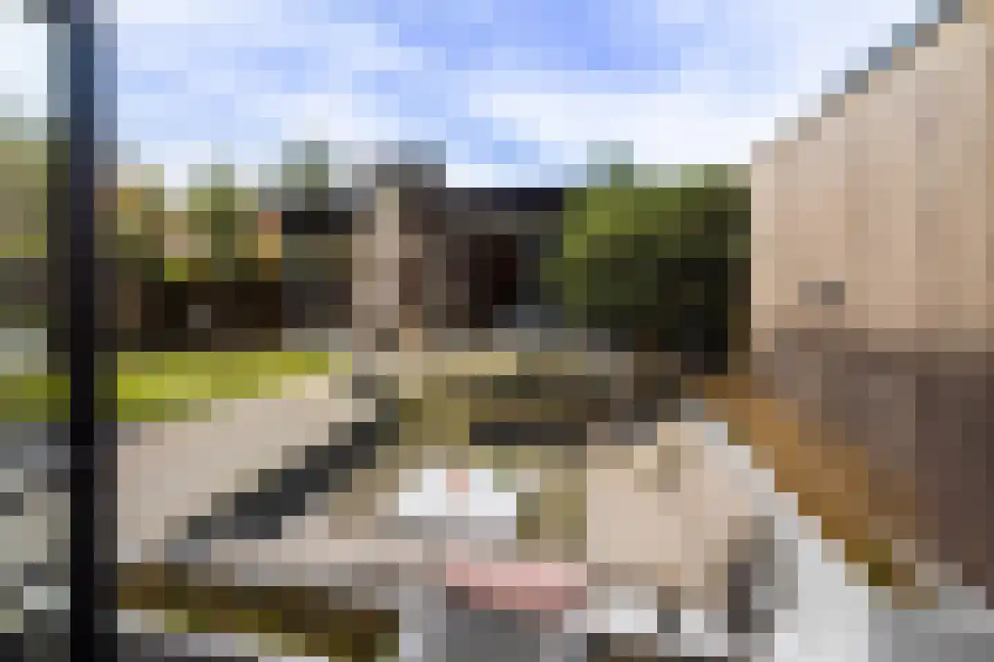 Kerkstraat 16 Harderwijk thumbnail 40