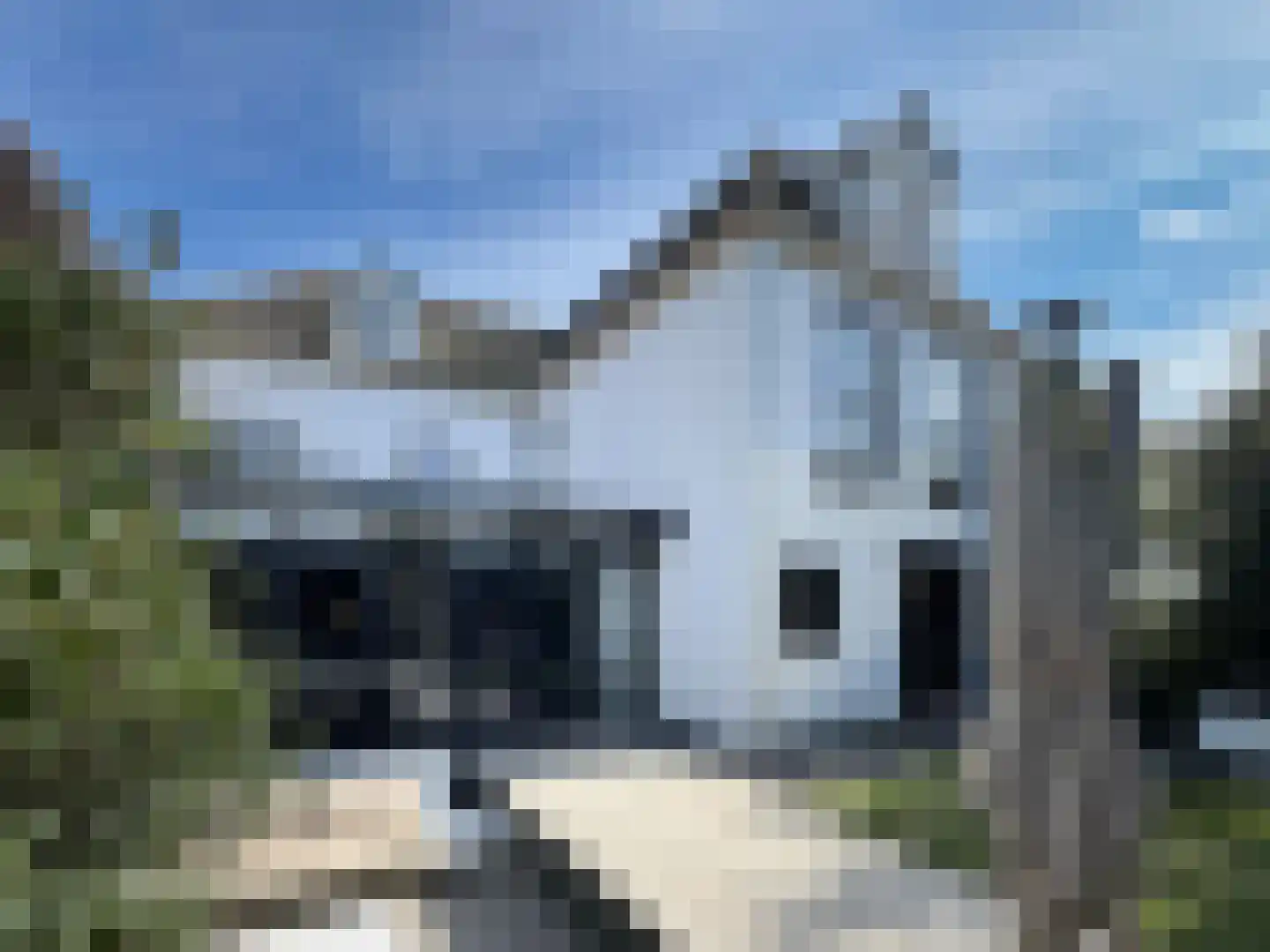 Kerkstraat 16 Harderwijk thumbnail 5