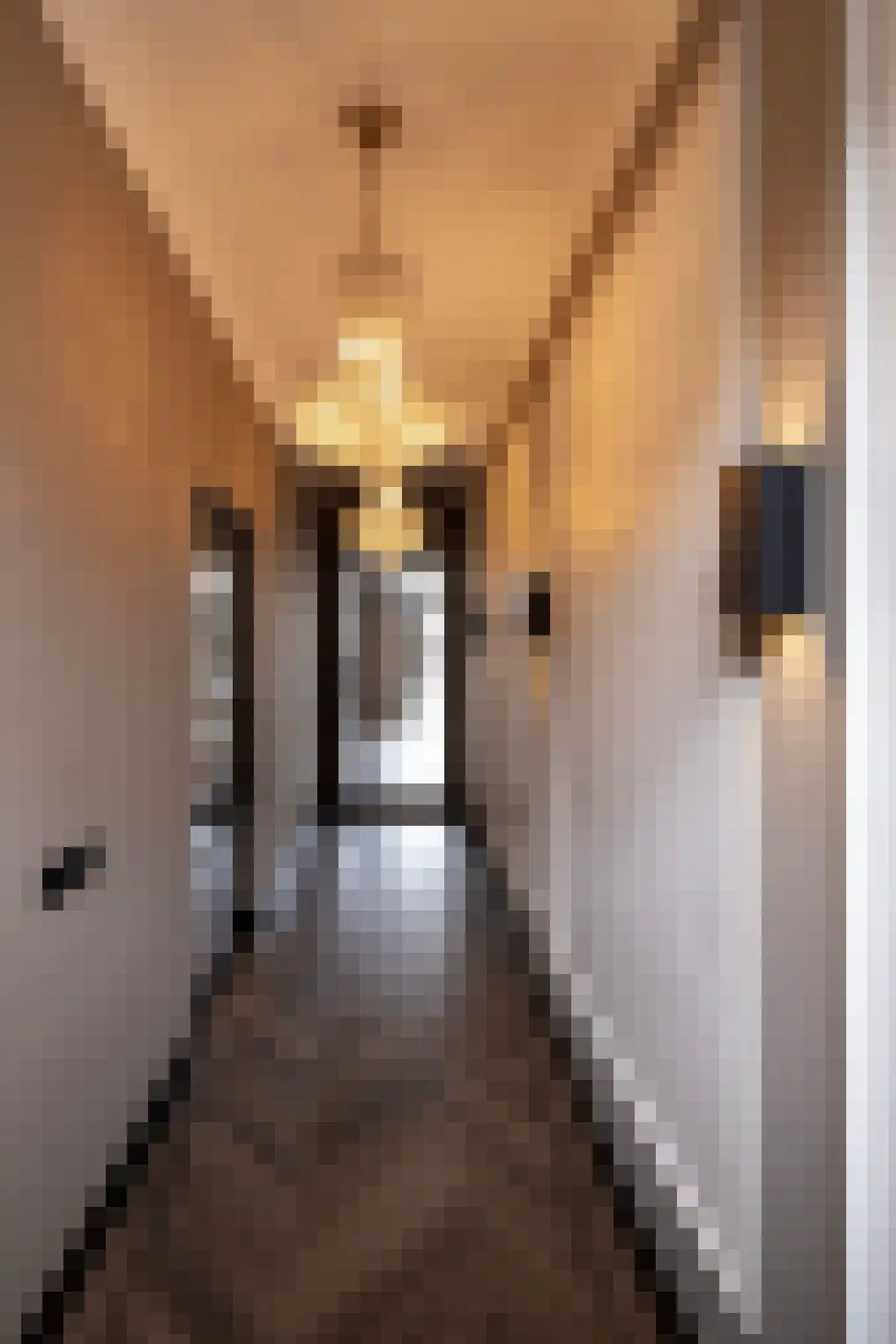 Kerkstraat 16 Harderwijk thumbnail 8