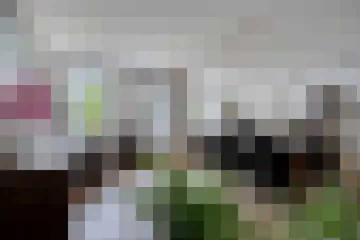 Kerkstraat 16 k Asten thumbnail 10