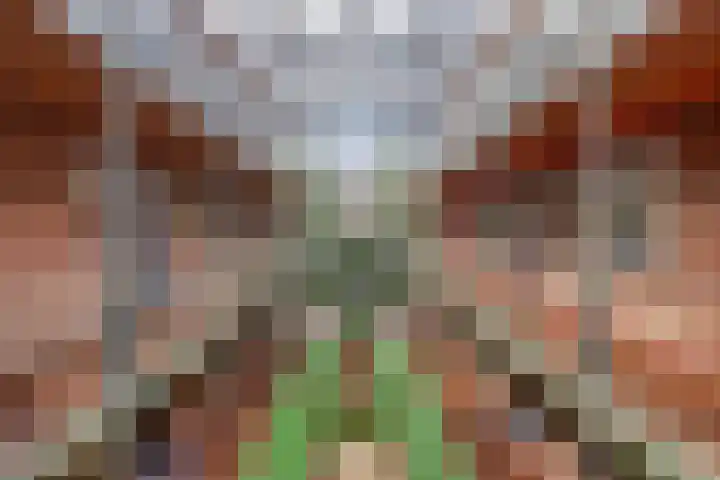 Kerkstraat 16 k Asten thumbnail 6