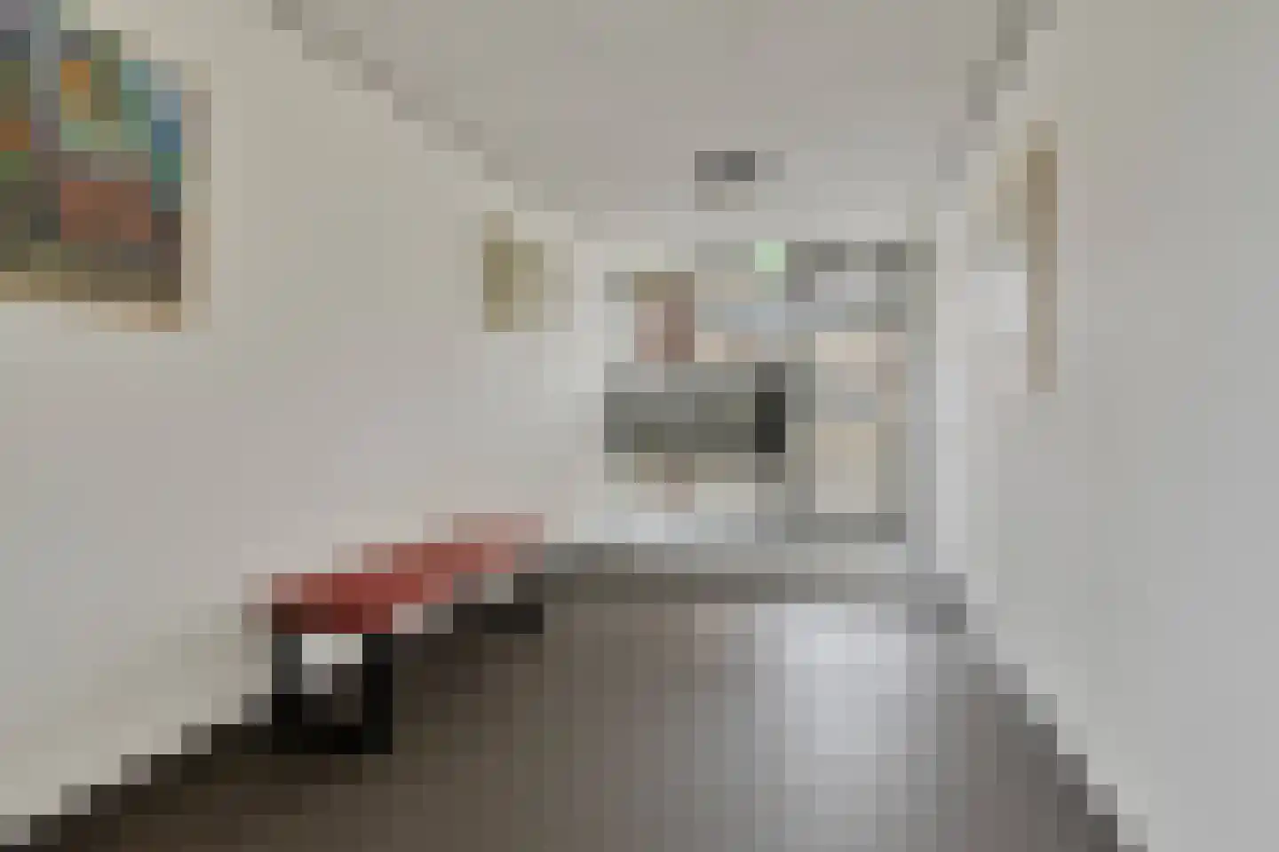 Kerkstraat 16 m Asten thumbnail 24