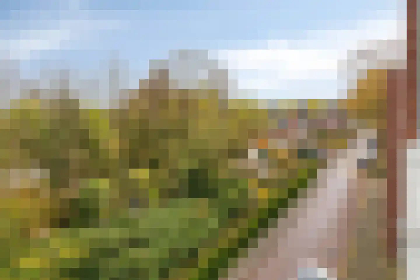 Kerkstraat 16 m Asten thumbnail 32