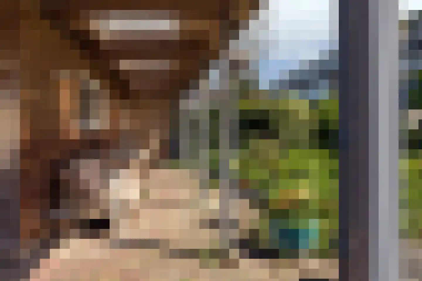 Kerkstraat 16 Renswoude thumbnail 23