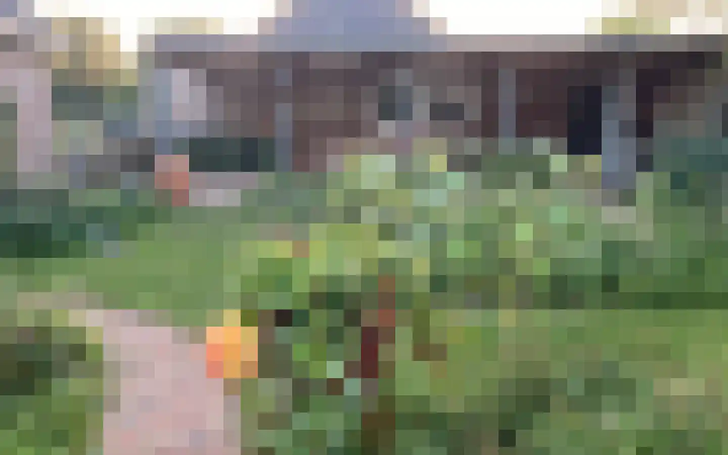 Kerkstraat 16 Renswoude thumbnail 28