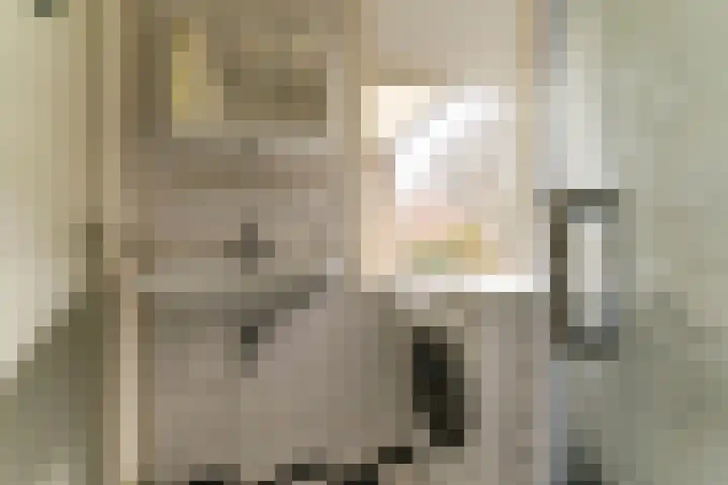 Kerkstraat 16 Renswoude thumbnail 35