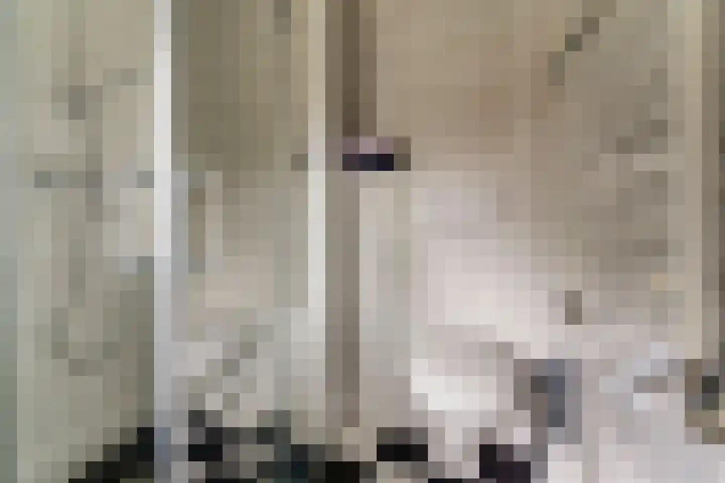 Kerkstraat 16 Renswoude thumbnail 36