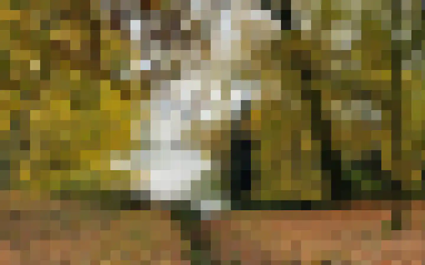 Kerkstraat 16 Renswoude thumbnail 48