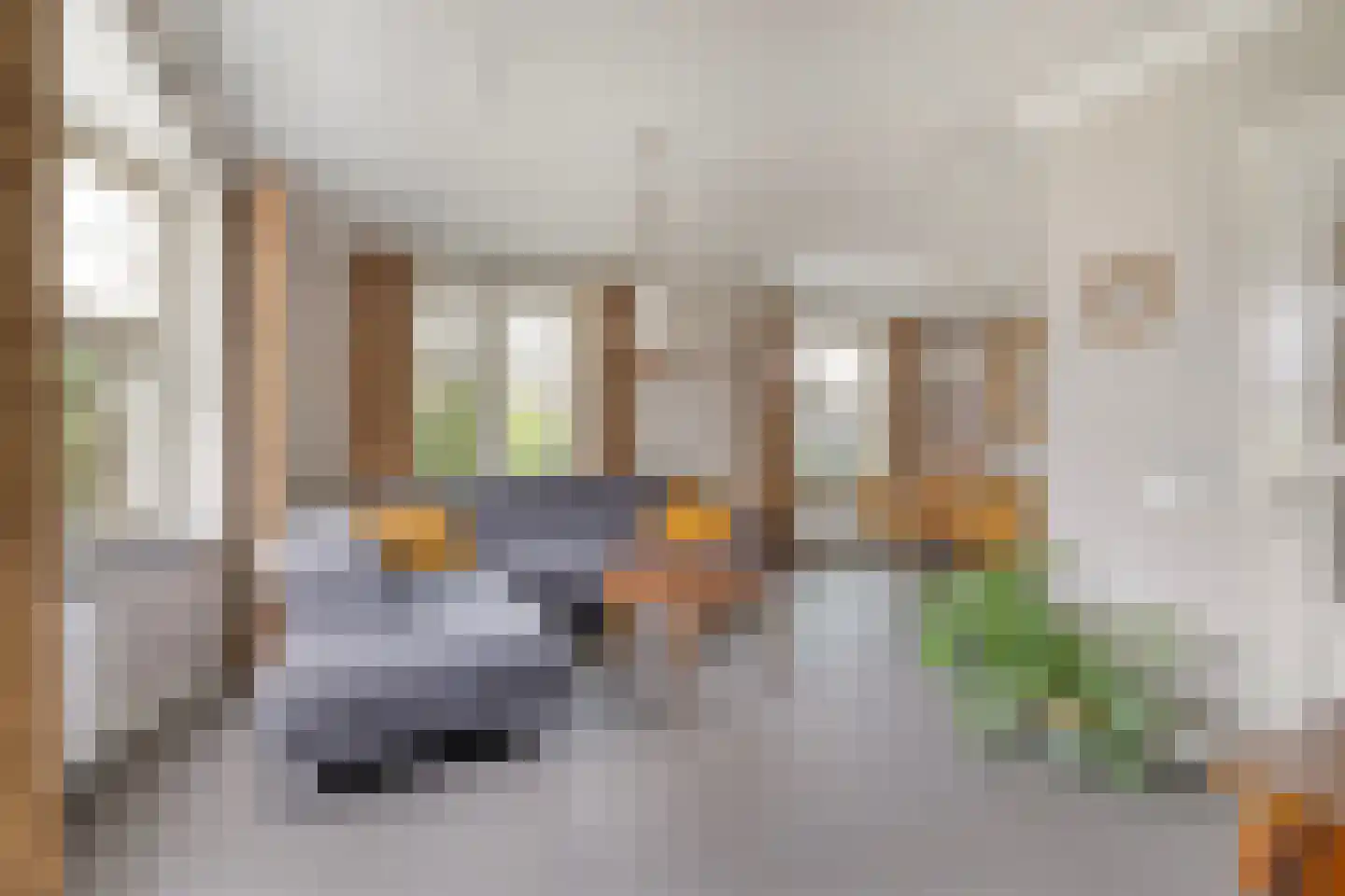 Kerkstraat 16 Vorstenbosch thumbnail 12