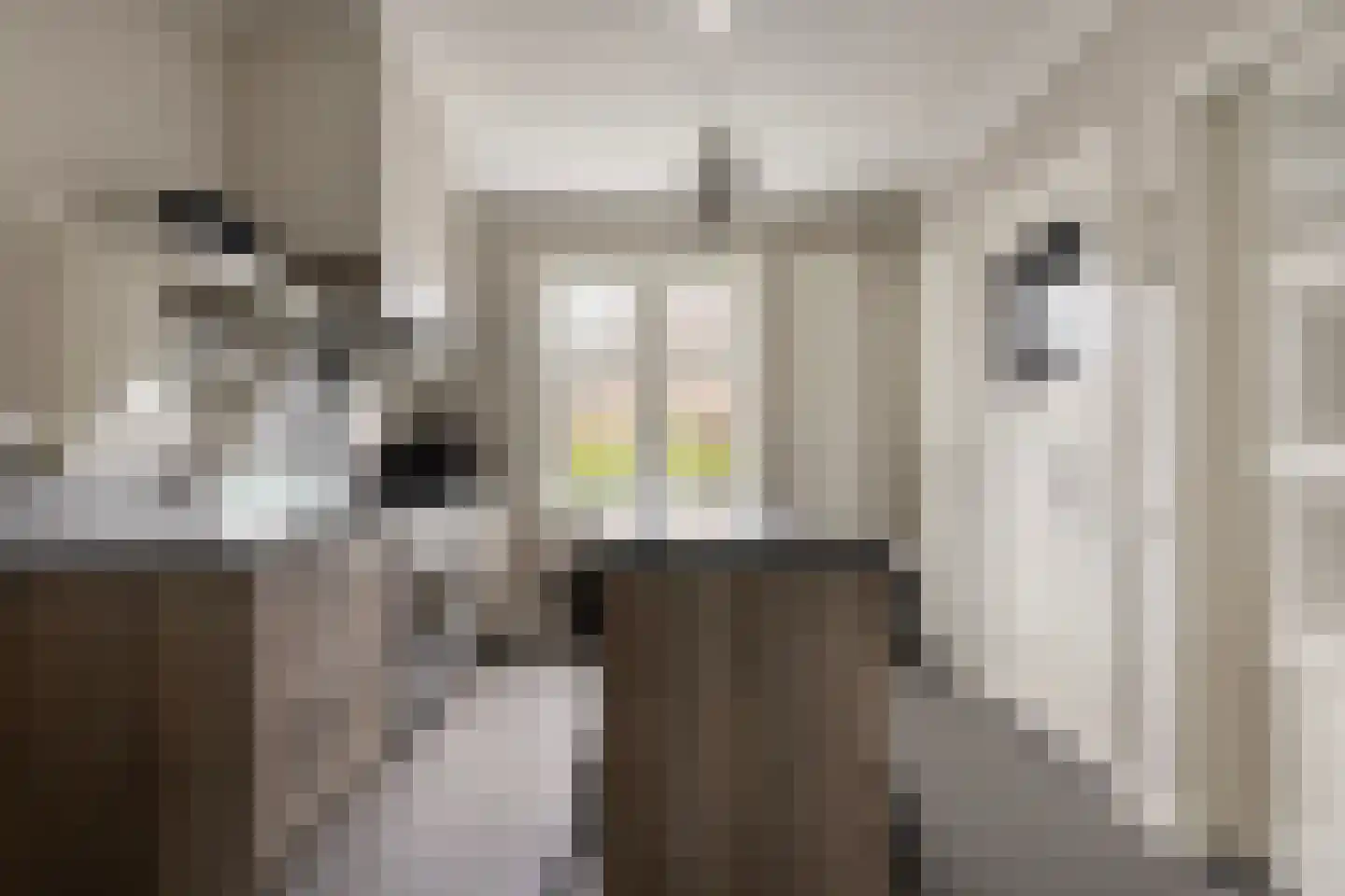 Kerkstraat 16 Vorstenbosch thumbnail 18