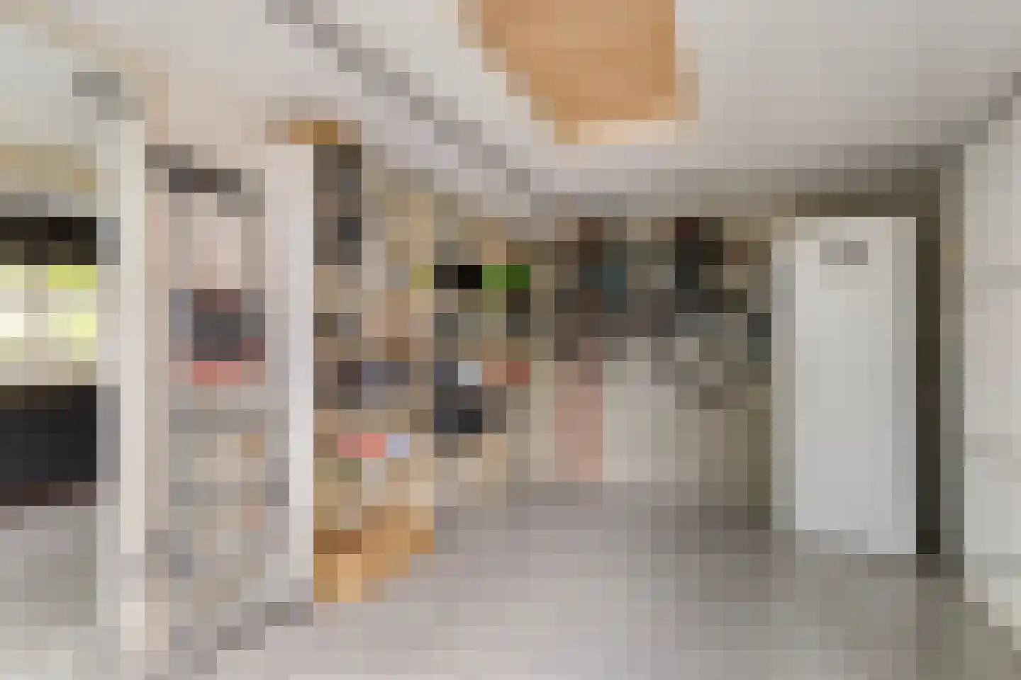 Kerkstraat 16 Vorstenbosch thumbnail 47