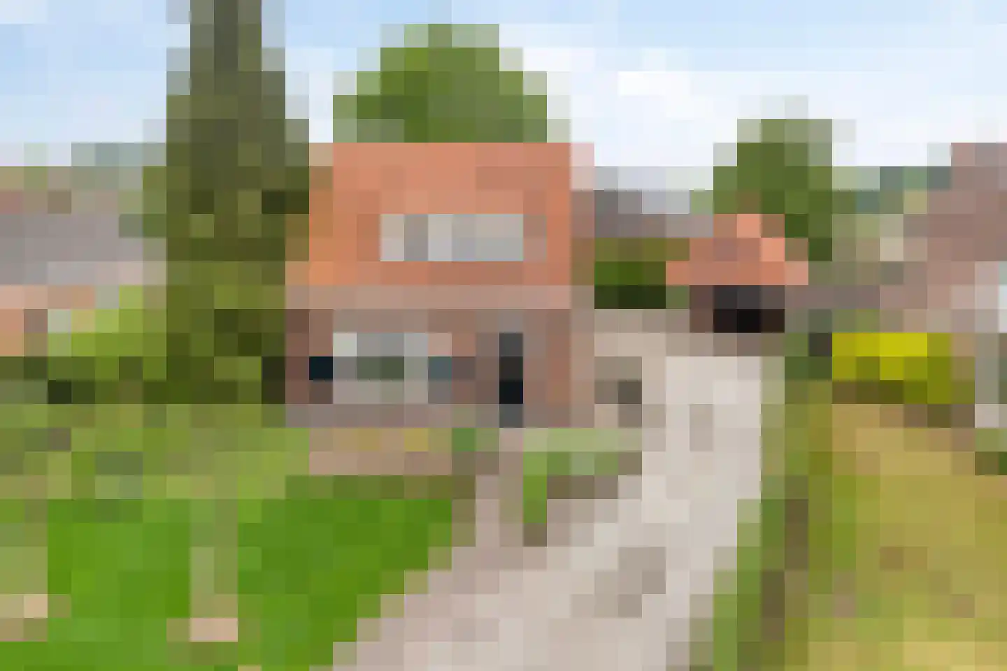 Kerkstraat 16 Vorstenbosch thumbnail 5