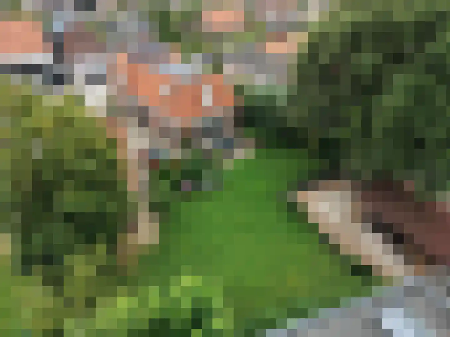 Kerkstraat 16 Vorstenbosch thumbnail 55
