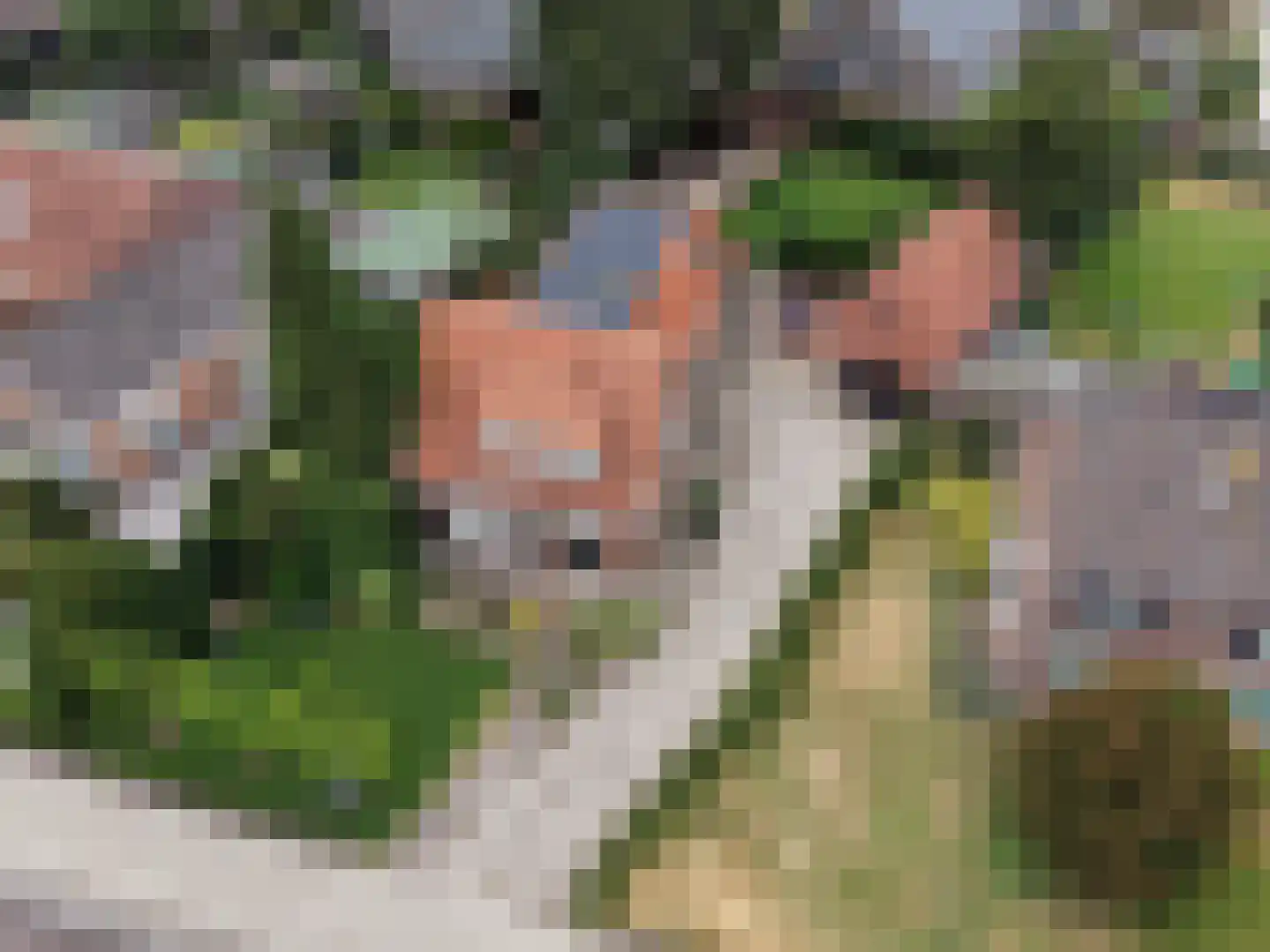 Kerkstraat 16 Vorstenbosch thumbnail 56