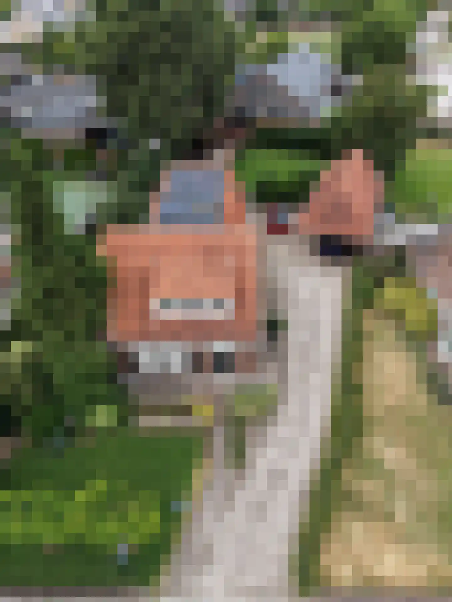 Kerkstraat 16 Vorstenbosch thumbnail 57