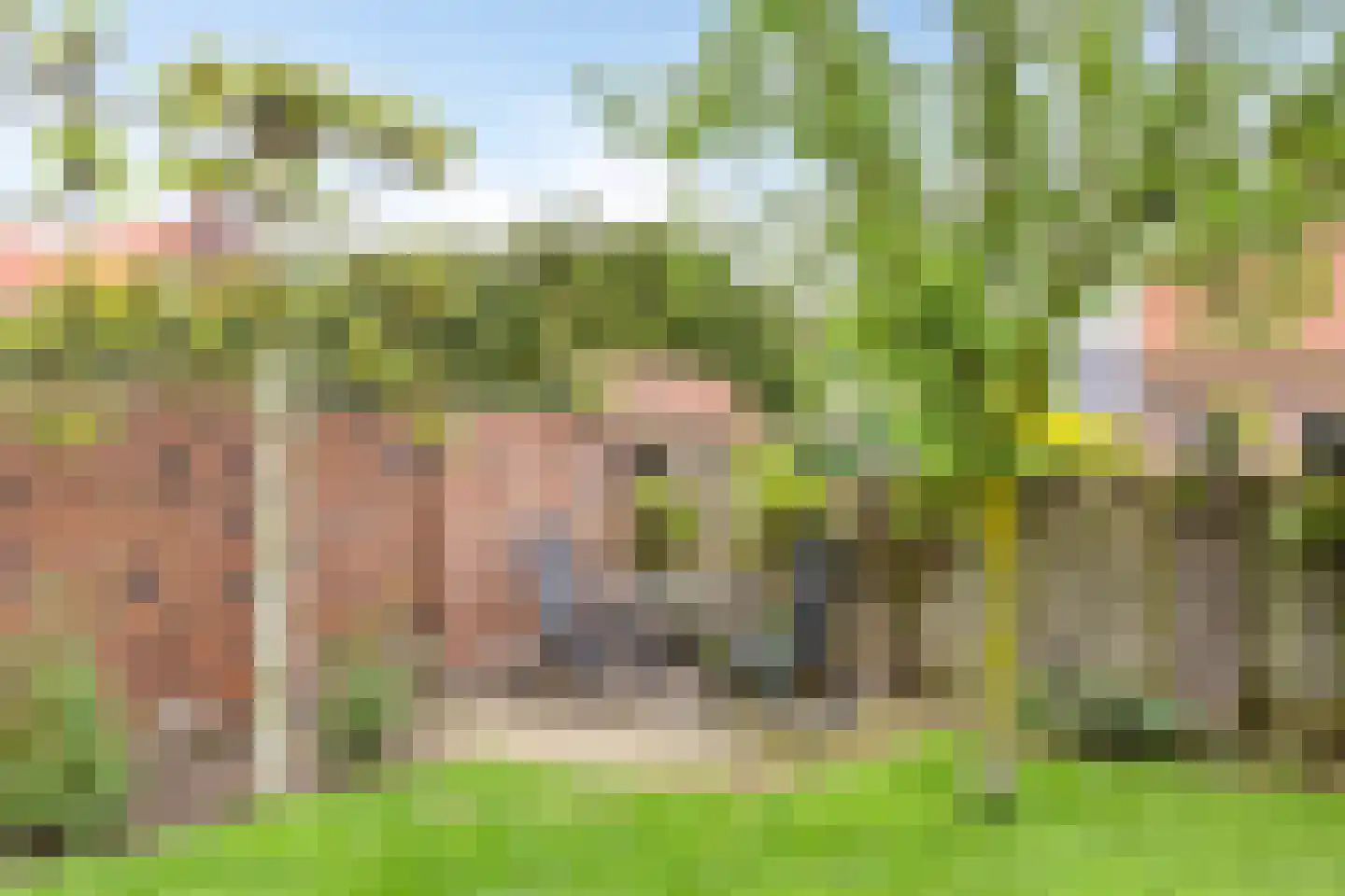 Kerkstraat 16 Vorstenbosch thumbnail 59