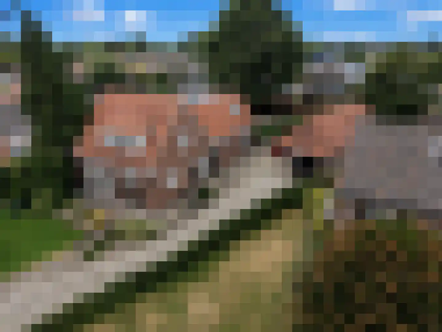 Kerkstraat 16 Vorstenbosch thumbnail 59