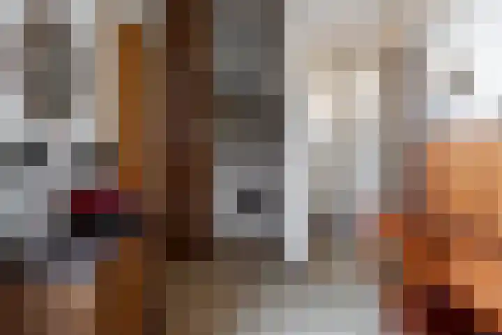 Kerkstraat 16 Vriezenveen thumbnail 18
