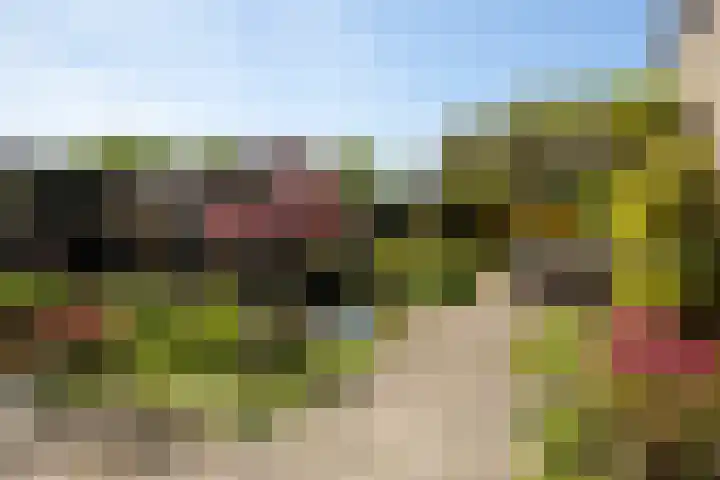 Kerkstraat 16 Vriezenveen thumbnail 37