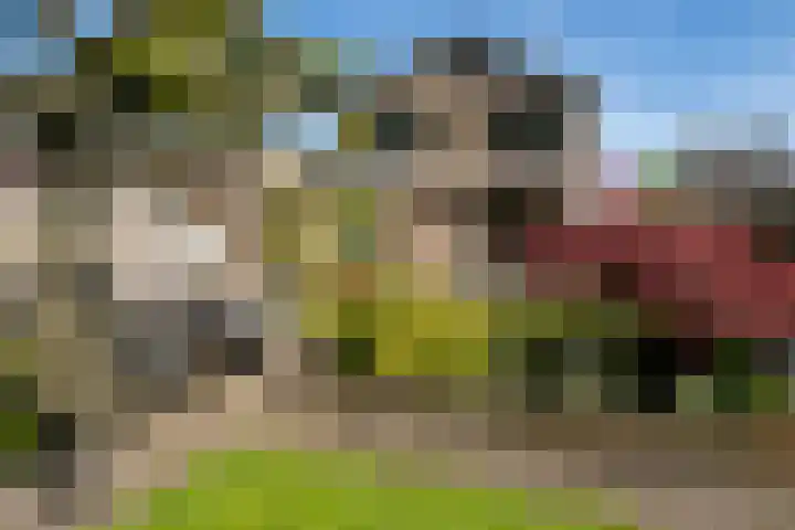 Kerkstraat 16 Vriezenveen thumbnail 39