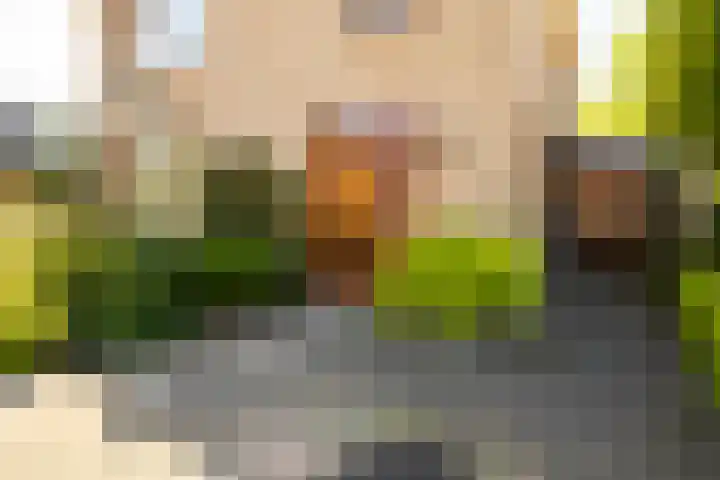 Kerkstraat 16 Vriezenveen thumbnail 49