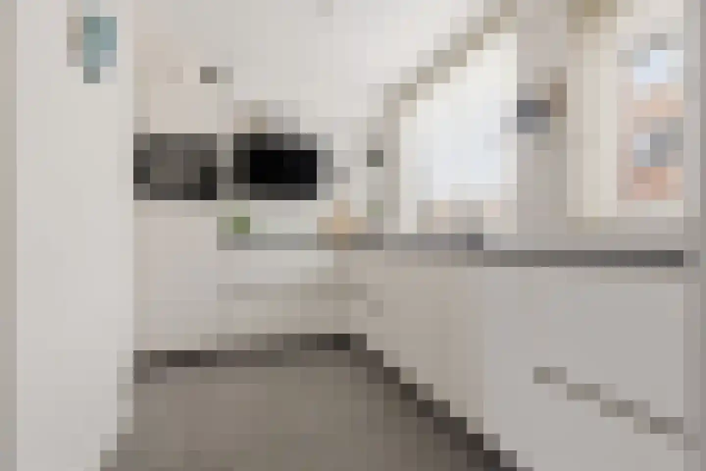Kerkstraat 17 Beverwijk thumbnail 15