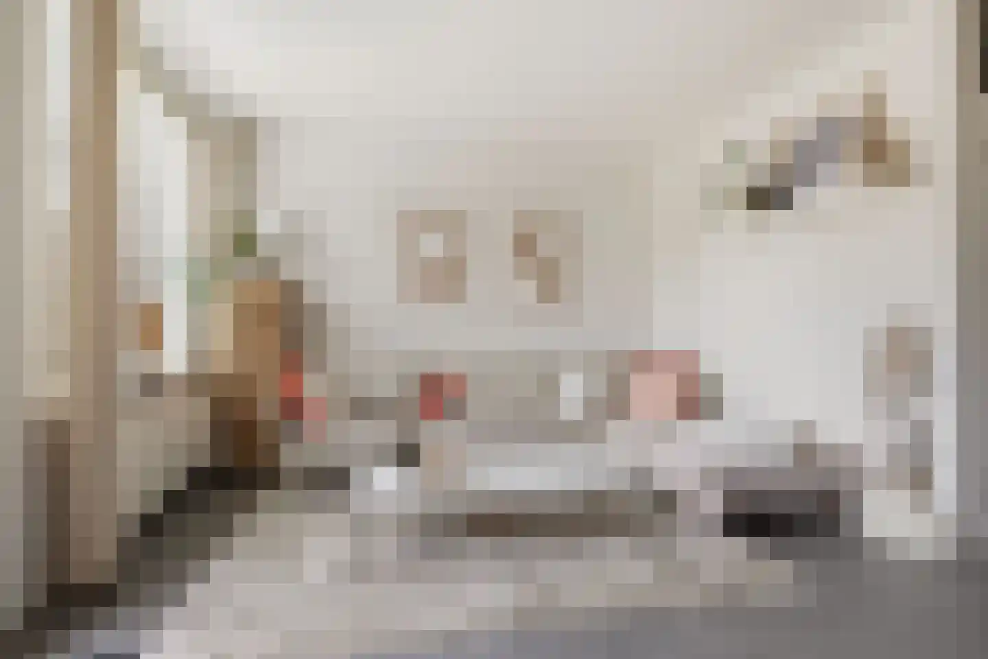 Kerkstraat 17 Beverwijk thumbnail 8