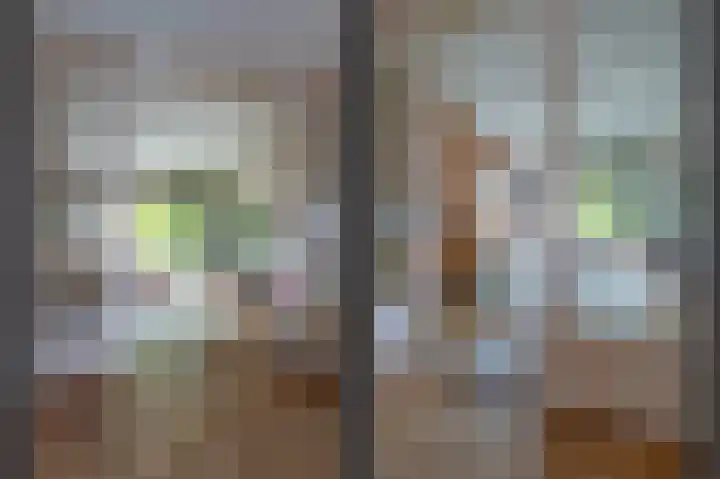 Kerkstraat 17 Groningen thumbnail 11