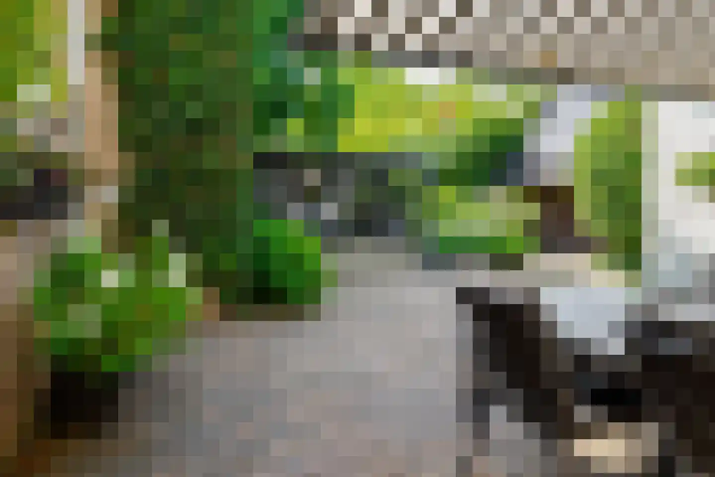 Kerkstraat 17 Hengelo thumbnail 37