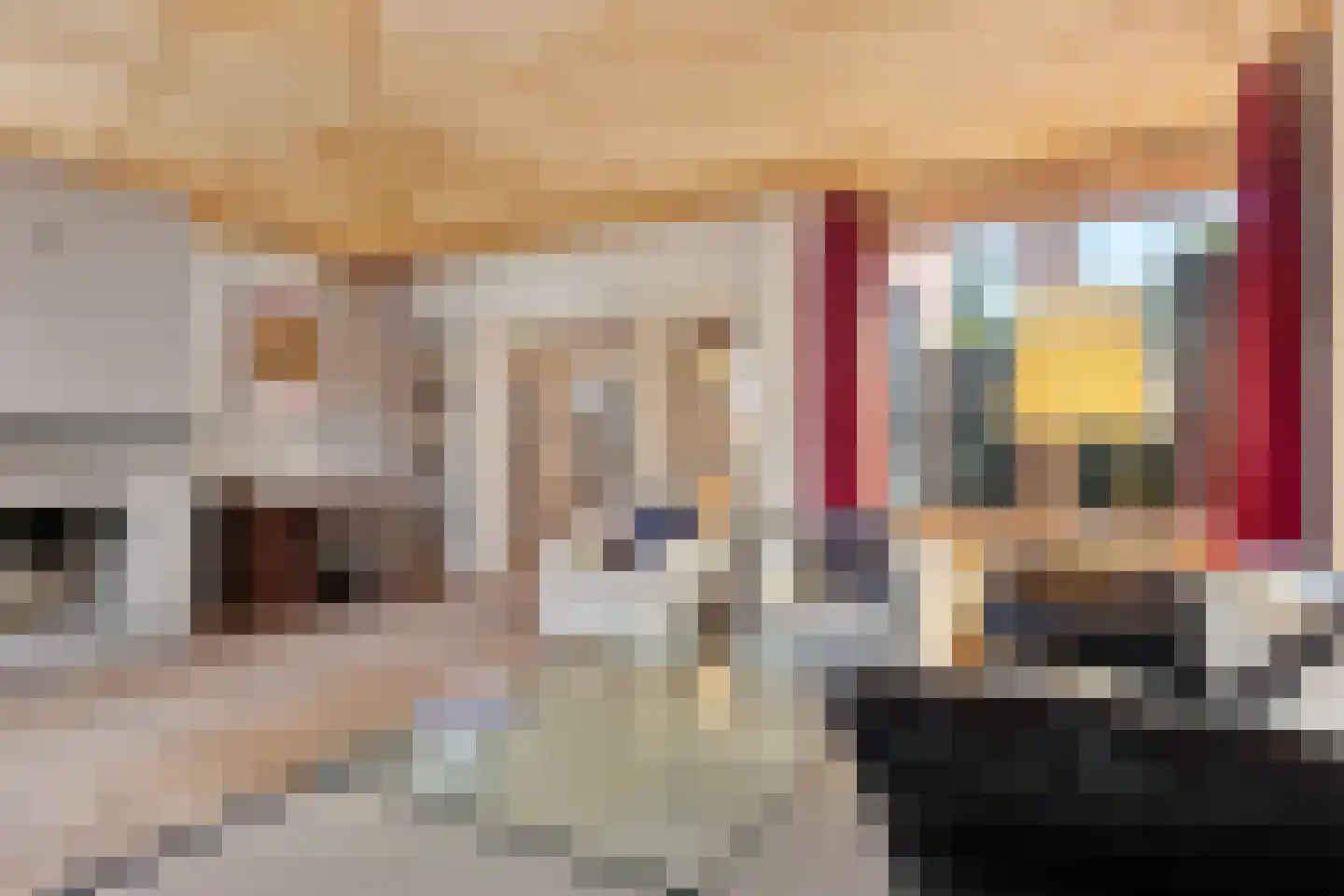 Kerkstraat 17 Luyksgestel thumbnail 13