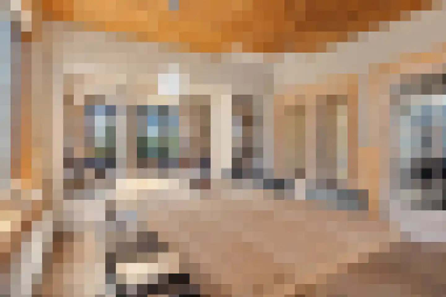 Kerkstraat 17 Luyksgestel thumbnail 15