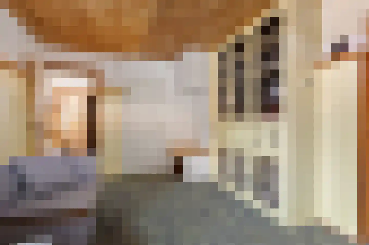 Kerkstraat 17 Luyksgestel thumbnail 22
