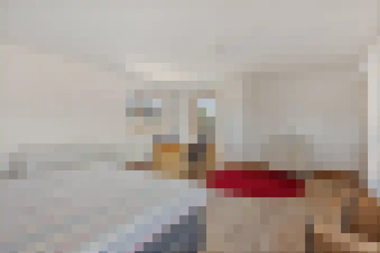 Kerkstraat 17 Luyksgestel thumbnail 37