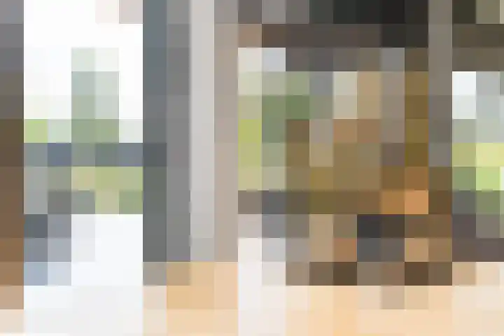 Kerkstraat 17 Nieuwaal thumbnail 11