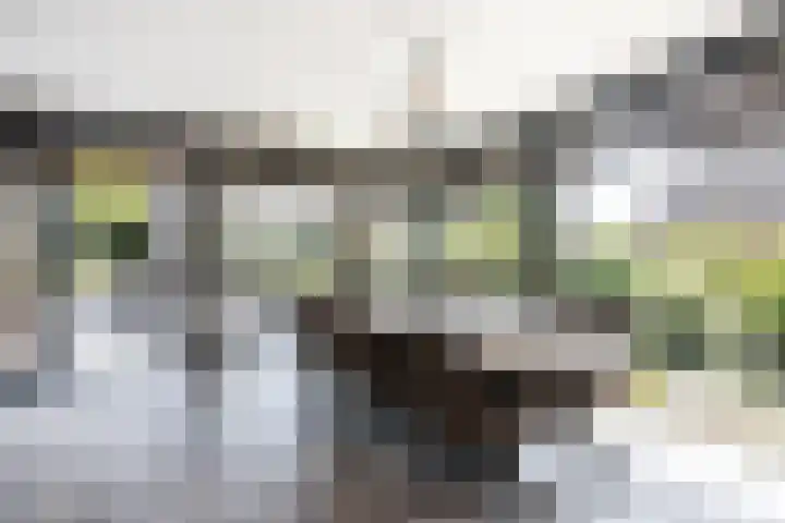 Kerkstraat 17 Nieuwaal thumbnail 13