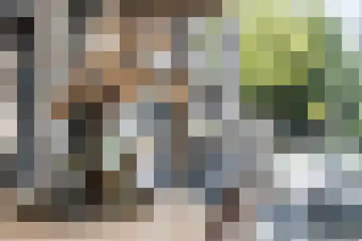 Kerkstraat 17 Nieuwaal thumbnail 14