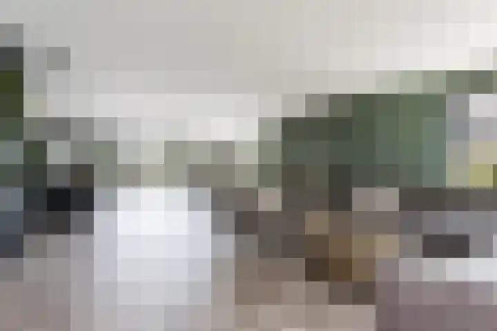 Kerkstraat 17 Nieuwaal thumbnail 18