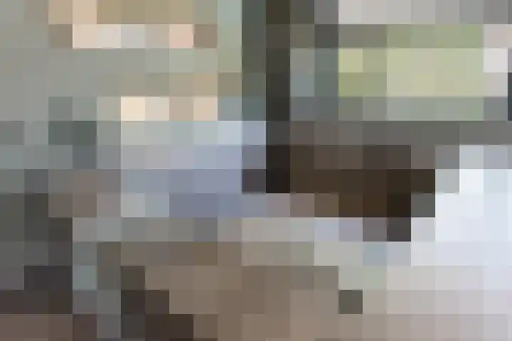 Kerkstraat 17 Nieuwaal thumbnail 29