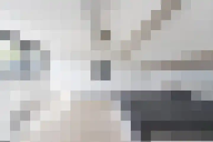 Kerkstraat 17 Nieuwaal thumbnail 36