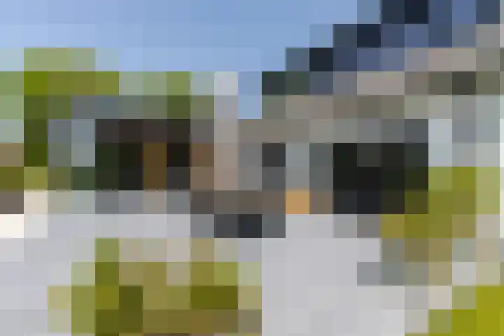 Kerkstraat 17 Nieuwaal thumbnail 4
