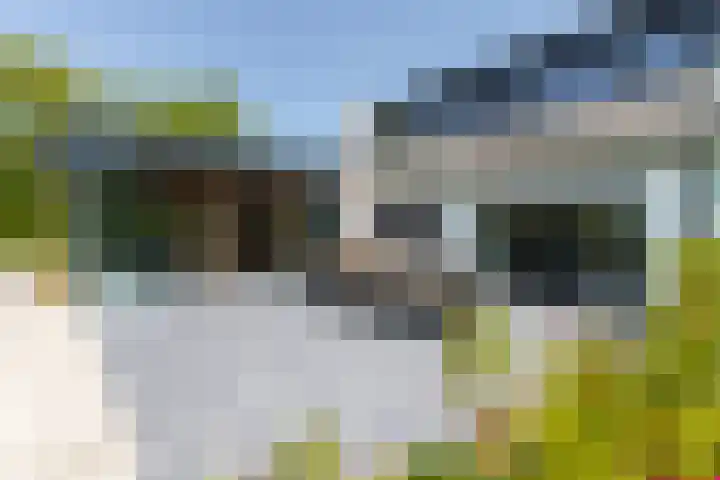 Kerkstraat 17 Nieuwaal thumbnail 57