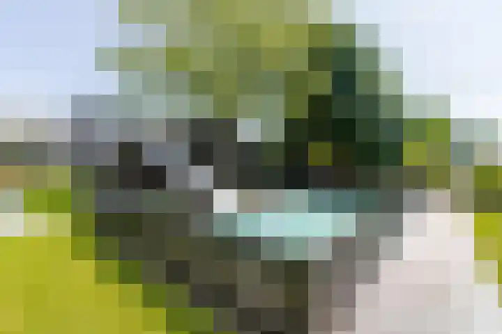 Kerkstraat 17 Nieuwaal thumbnail 59